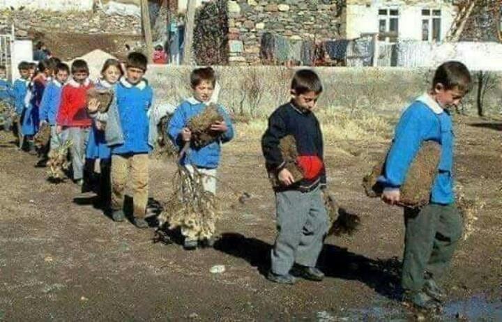 Herkesin ahırında 3 inek bir eşek, bizde ise 3 eşek bir inek vardı!