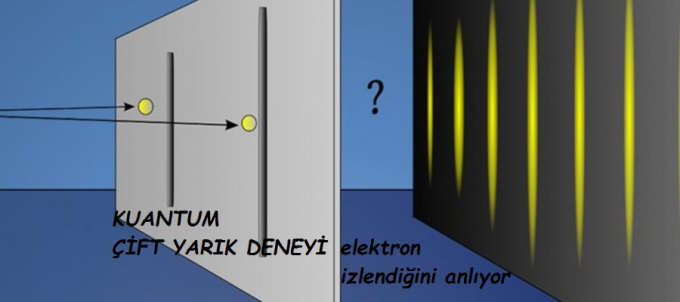 Toprak canlı mıdır?