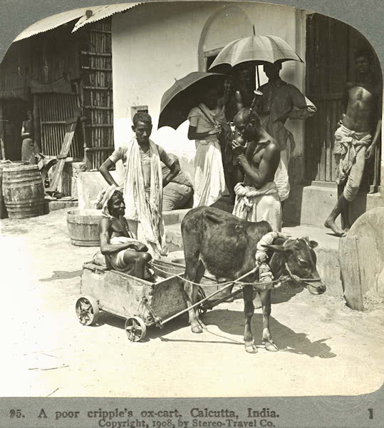 A man and his ox-cart — Kolkata India Vintage