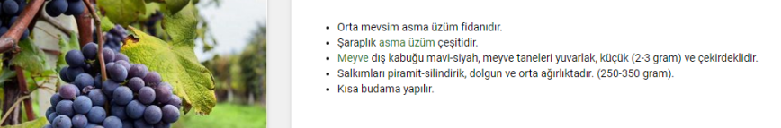 Siyah Merlot Üzümü özellikleri