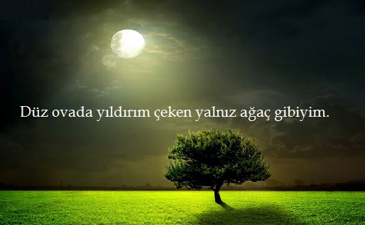 duz ovada yildirim ceken yalnız agac gibisin