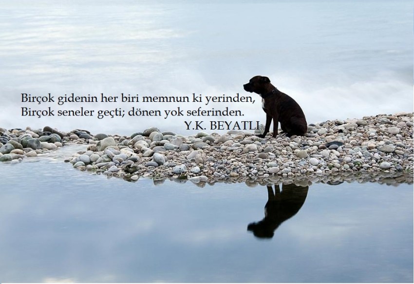 Meçhule giden bir gemi kalkar bu limandan.