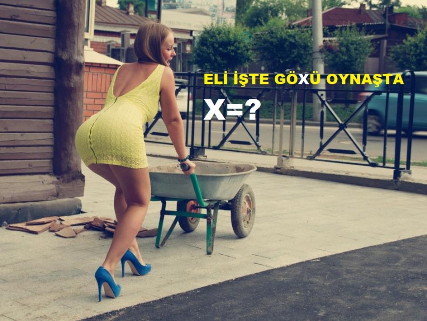 PUBLISHED by catsmob.com