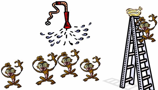 5 maymun, muz ve su içeren deneyi