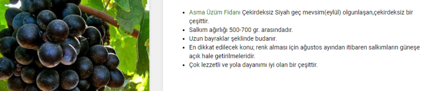ÇEKİRDEKSİZ SİYAH ÜZÜM ÖZELLİKLERİ