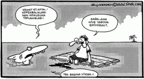 birlik