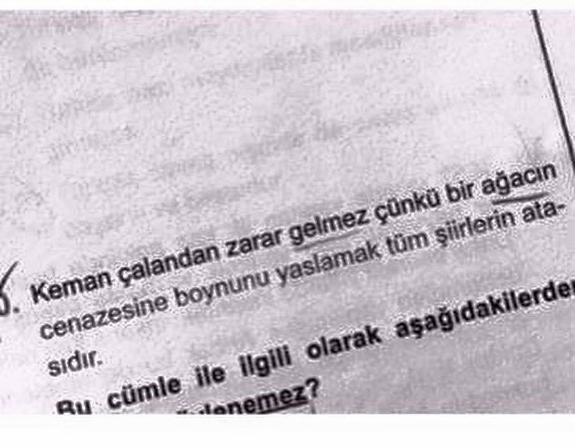 bir ağacın cenazesine boynunu yaslamak